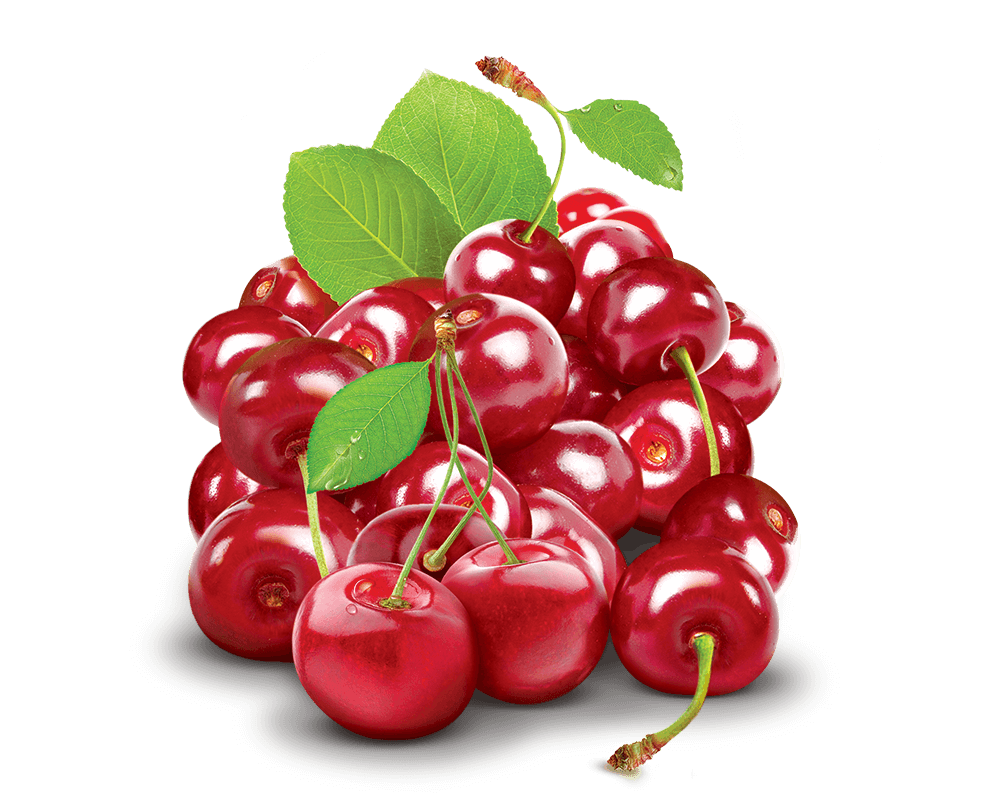 Sour cherry